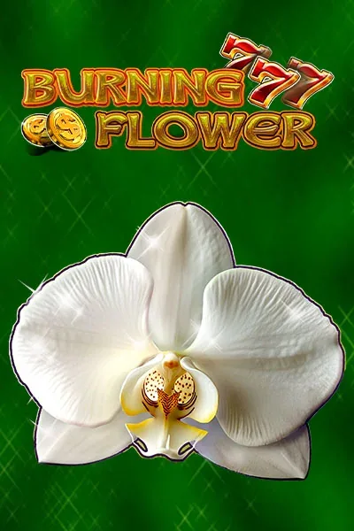 Burning Flower κουλοχέρης — RoboCat Casino